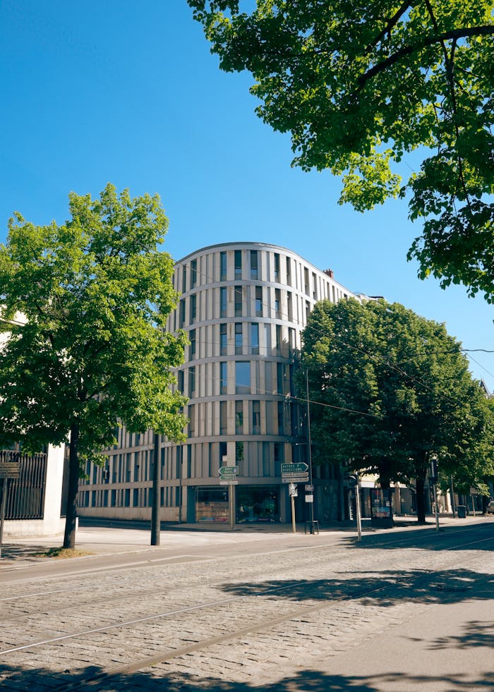 Contemporary urban building surrounded by green trees under a clear blue sky in a tranquil city setting.
